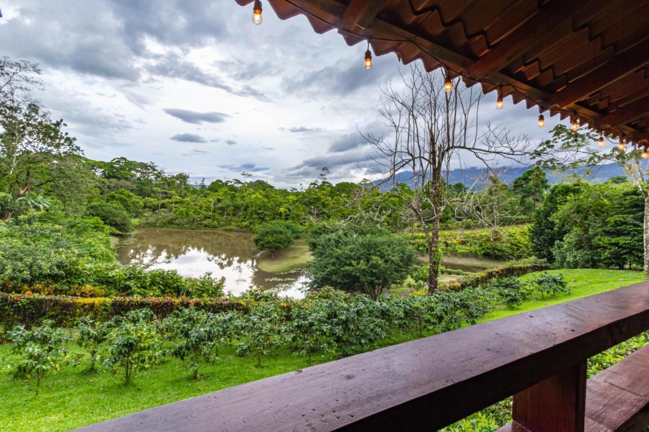 La Anita Rain Forest Colonia Dos Ríos Buitenkant foto