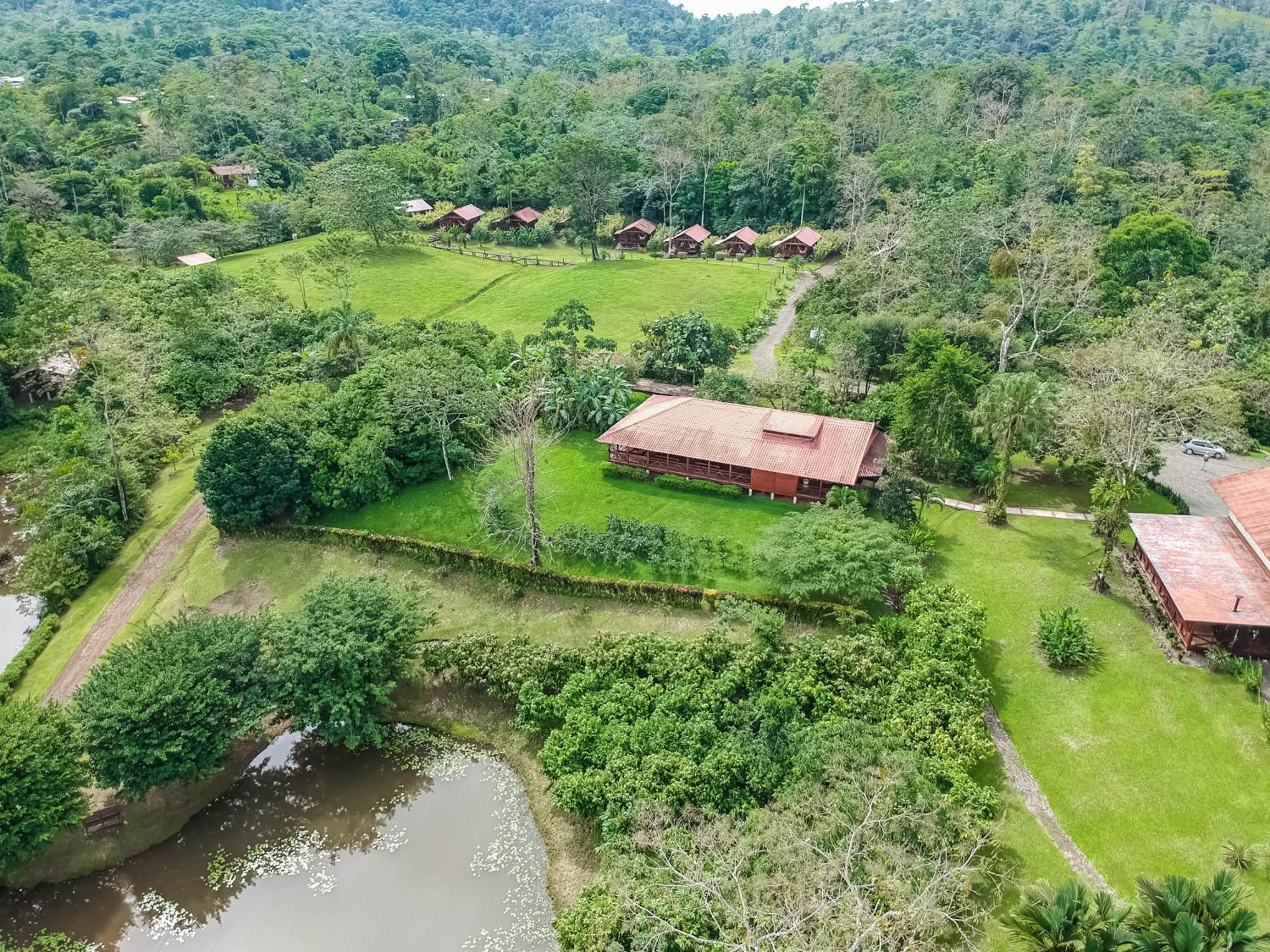 La Anita Rain Forest Colonia Dos Ríos Buitenkant foto