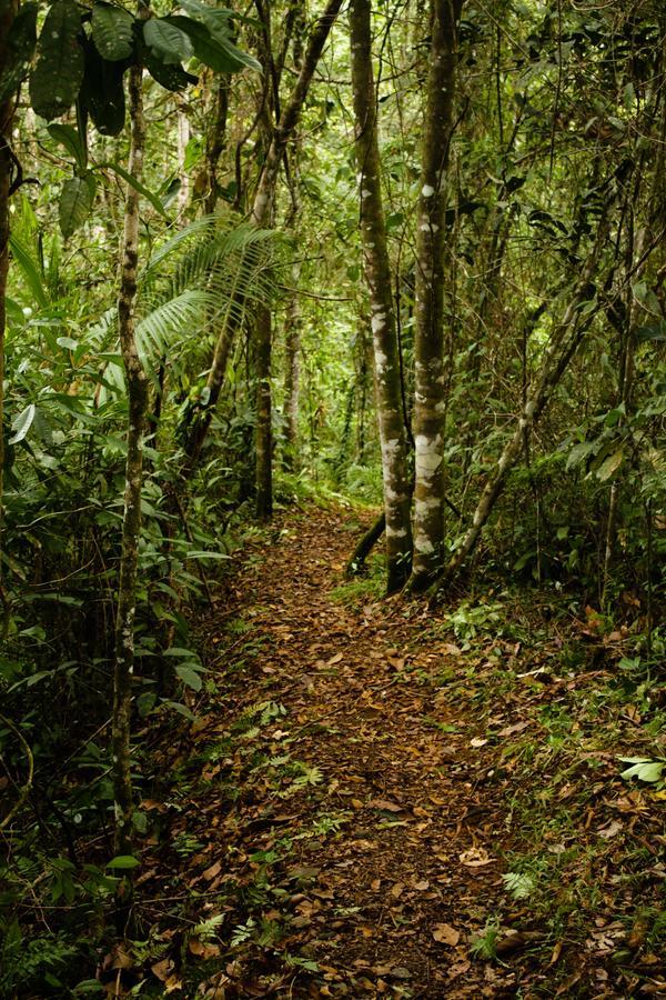 La Anita Rain Forest Colonia Dos Ríos Buitenkant foto