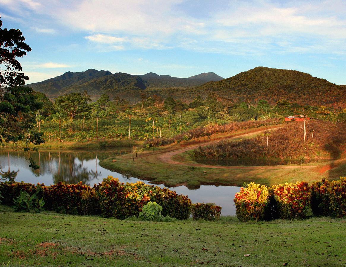 La Anita Rain Forest Colonia Dos Ríos Buitenkant foto