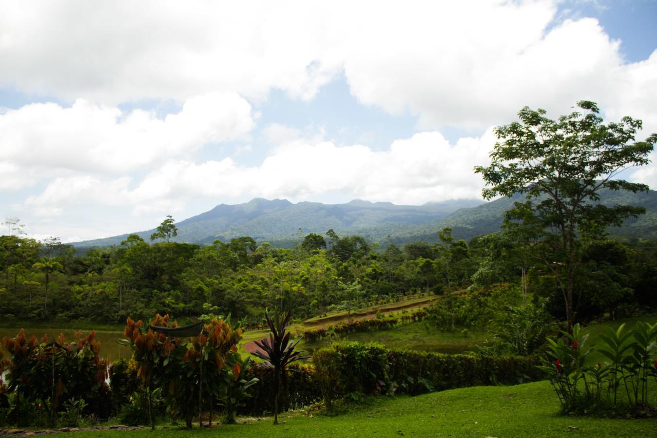 La Anita Rain Forest Colonia Dos Ríos Buitenkant foto