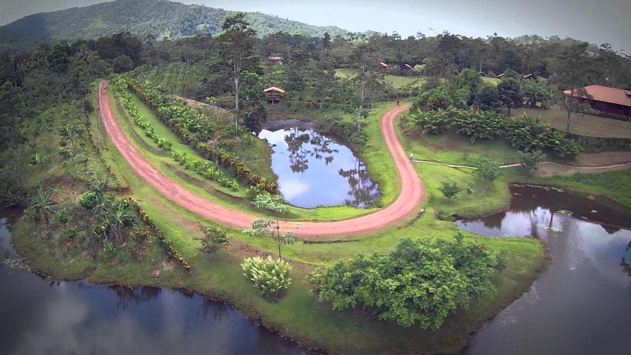 La Anita Rain Forest Colonia Dos Ríos Buitenkant foto