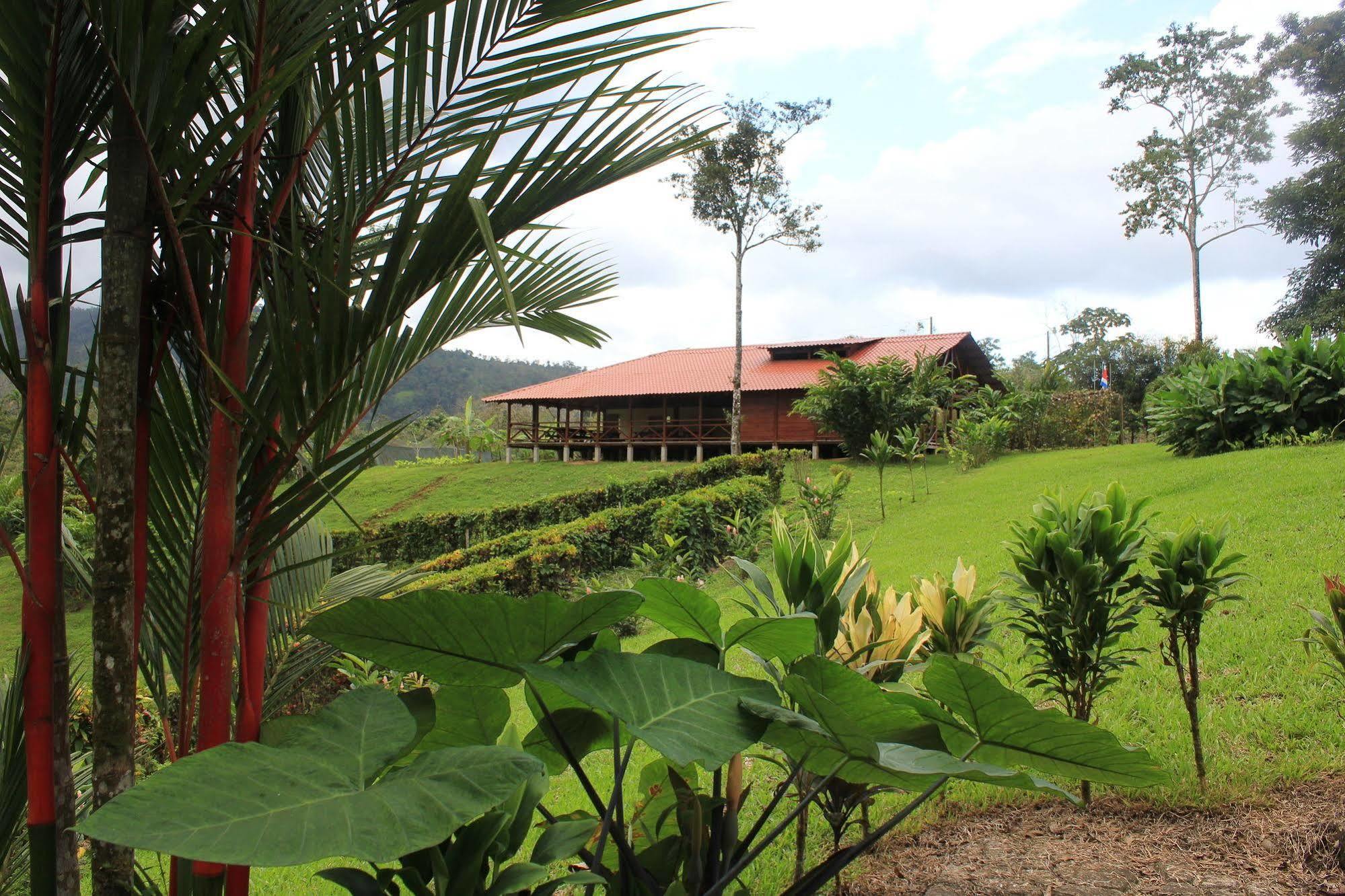 La Anita Rain Forest Colonia Dos Ríos Buitenkant foto