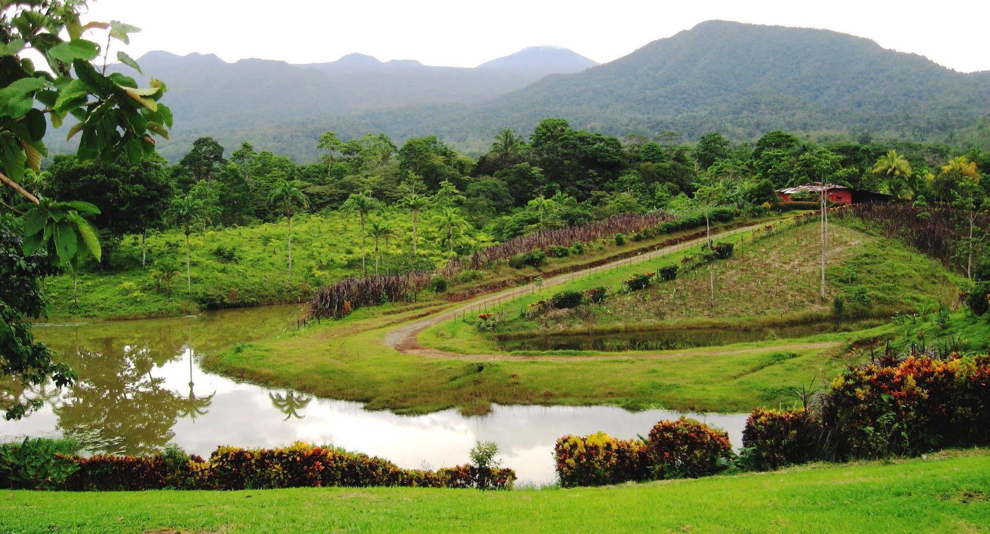 La Anita Rain Forest Colonia Dos Ríos Buitenkant foto